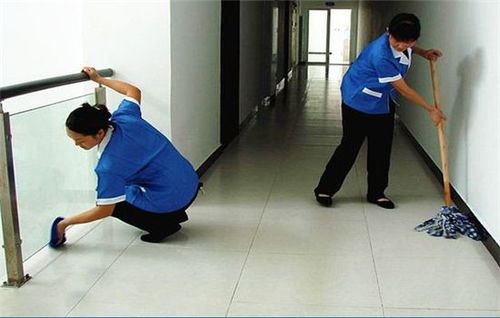 專(zhuān)業(yè)家政服務(wù)專(zhuān)家 莉莉家政，為您提供全方位清洗與保潔解決方案